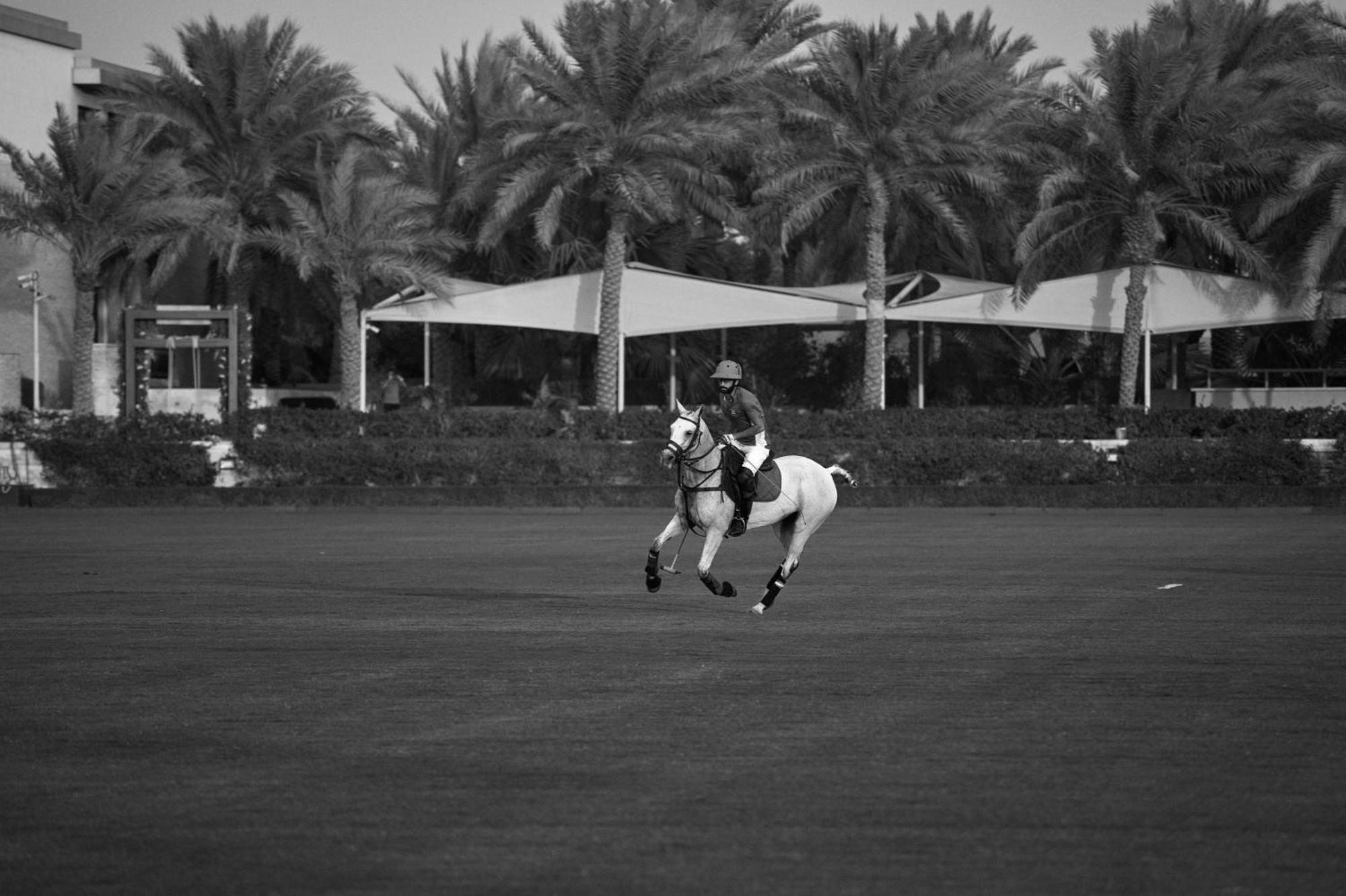 Meliá Desert Palm Member of Meliá Collection Dubái Exterior foto A horse in Al-Shaqra